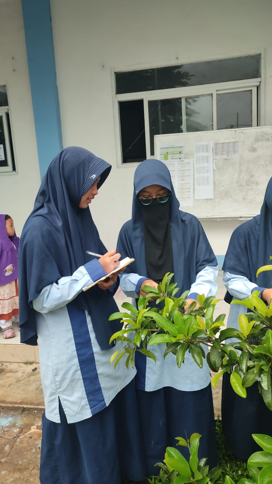Orang Tua Ara Kelas 8